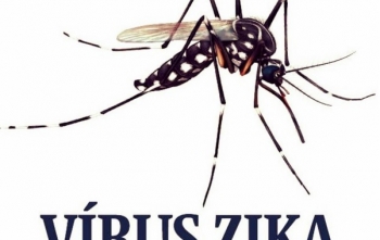 Zika e Pesquisa